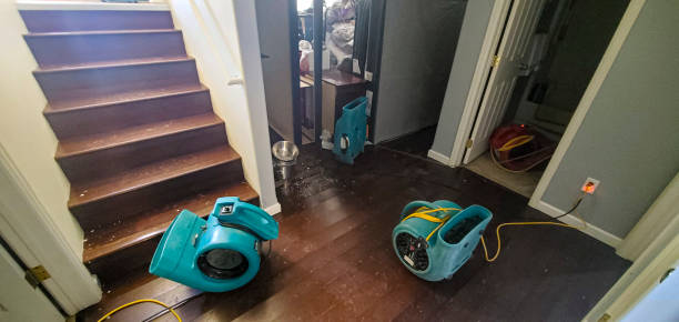 Best Water damage restoration near me  in St Helens, OR