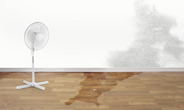 Water damage restoration mold remediation in St Helens, OR