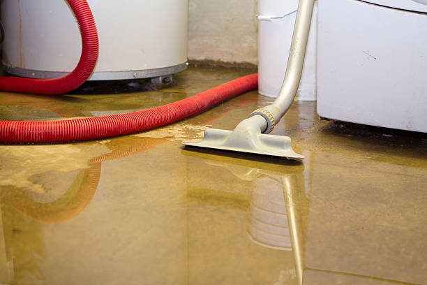 Best Ceiling water damage repair  in St Helens, OR