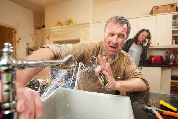 Best Professional water damage repair  in St Helens, OR